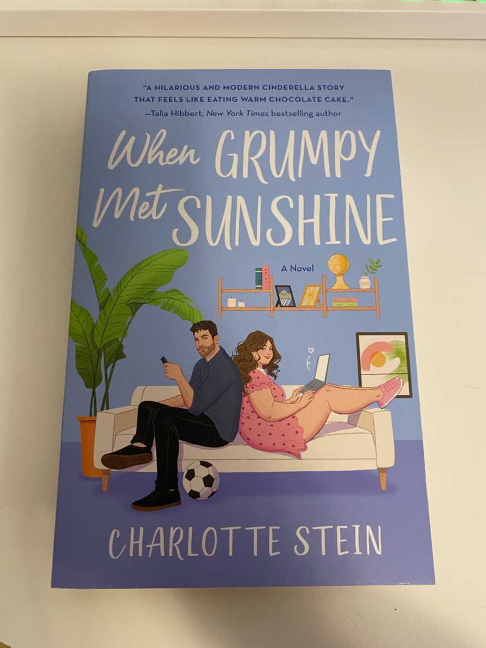 When Grumpy Met Sunshine Paperback
